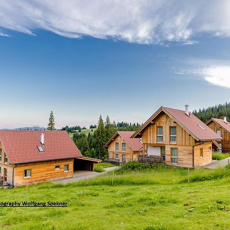 Beautiful Holiday Home In Weinebene With Sauna Posch Alpe Buitenkant foto