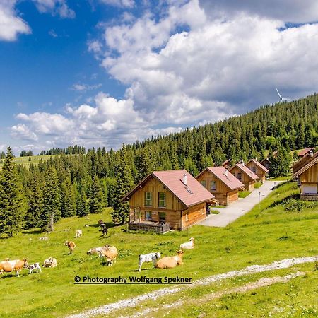 Beautiful Holiday Home In Weinebene With Sauna Posch Alpe Buitenkant foto