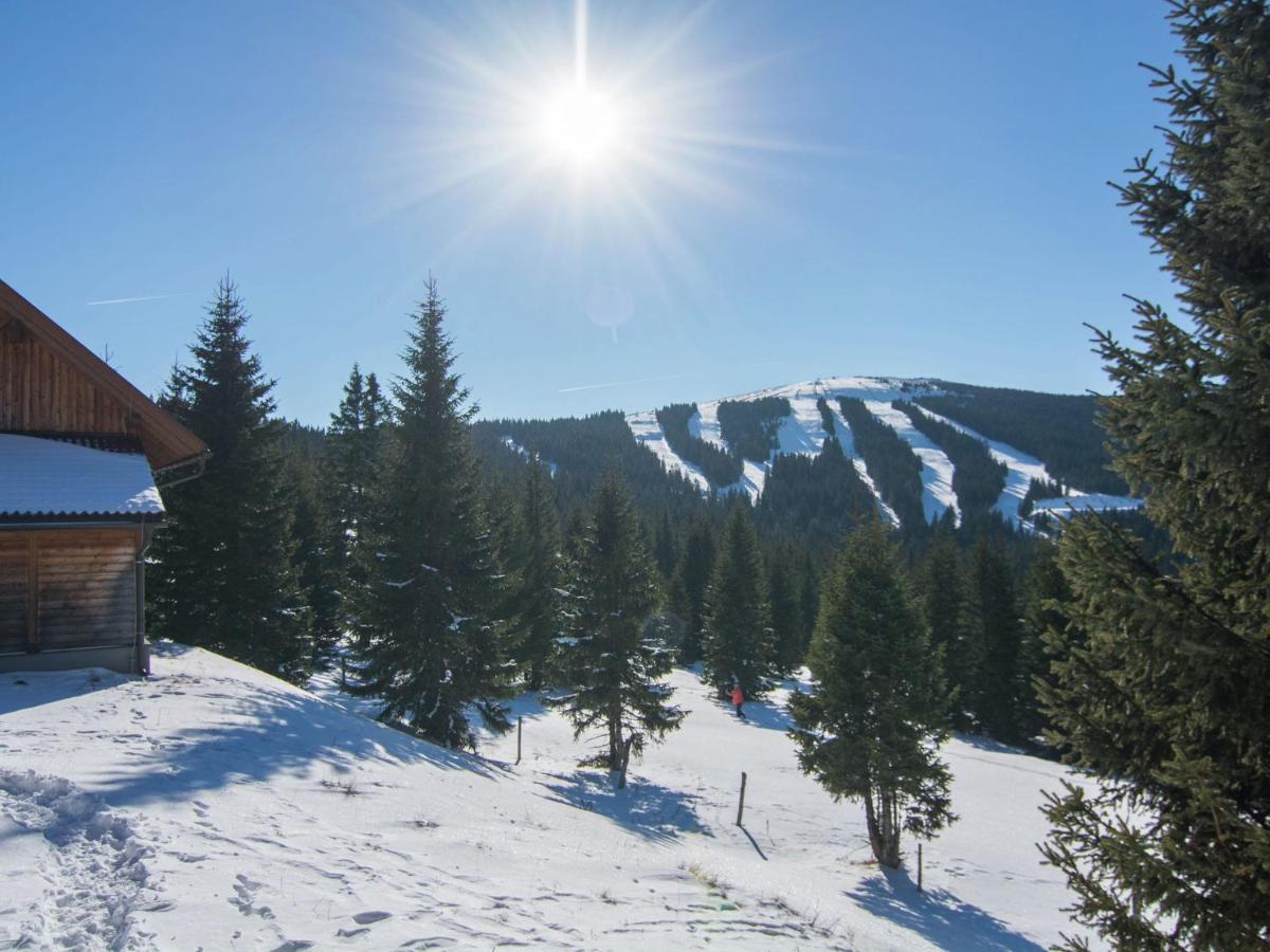 Beautiful Holiday Home In Weinebene With Sauna Posch Alpe Buitenkant foto