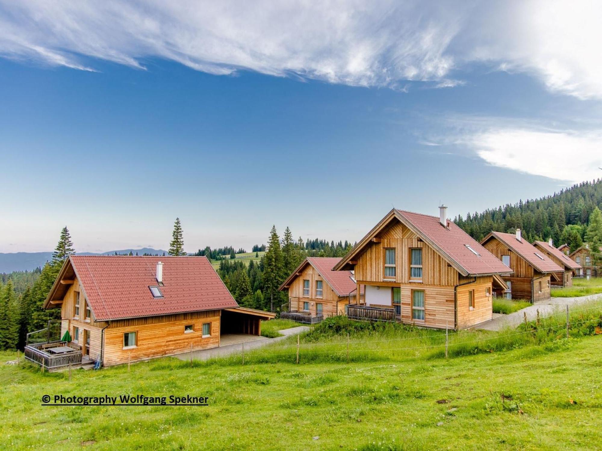 Beautiful Holiday Home In Weinebene With Sauna Posch Alpe Buitenkant foto