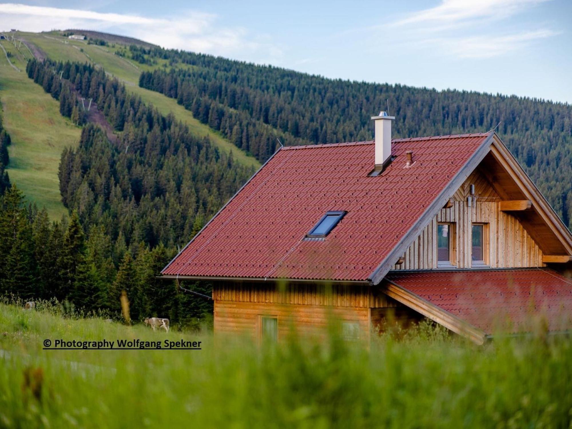 Beautiful Holiday Home In Weinebene With Sauna Posch Alpe Buitenkant foto