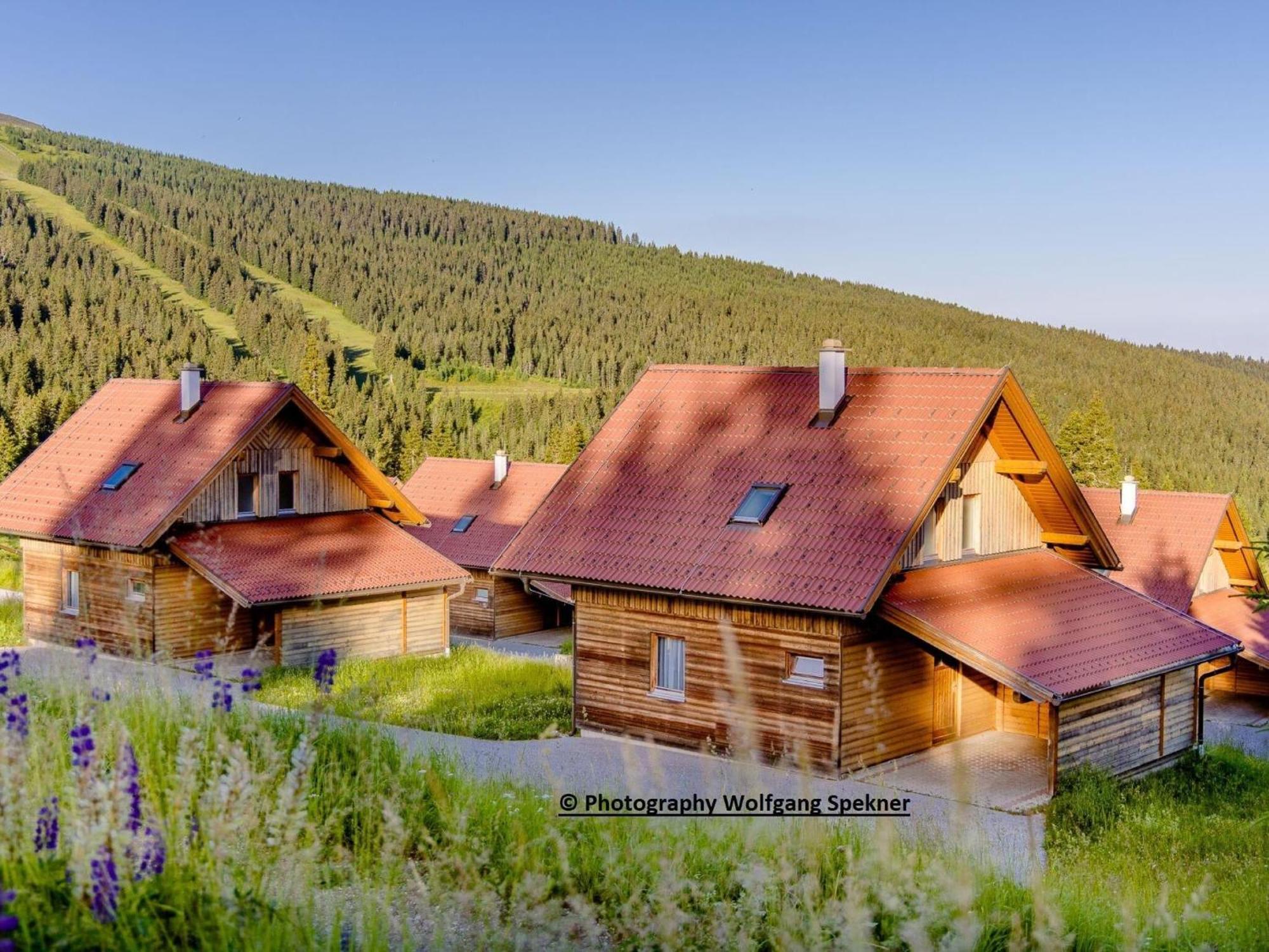 Beautiful Holiday Home In Weinebene With Sauna Posch Alpe Buitenkant foto