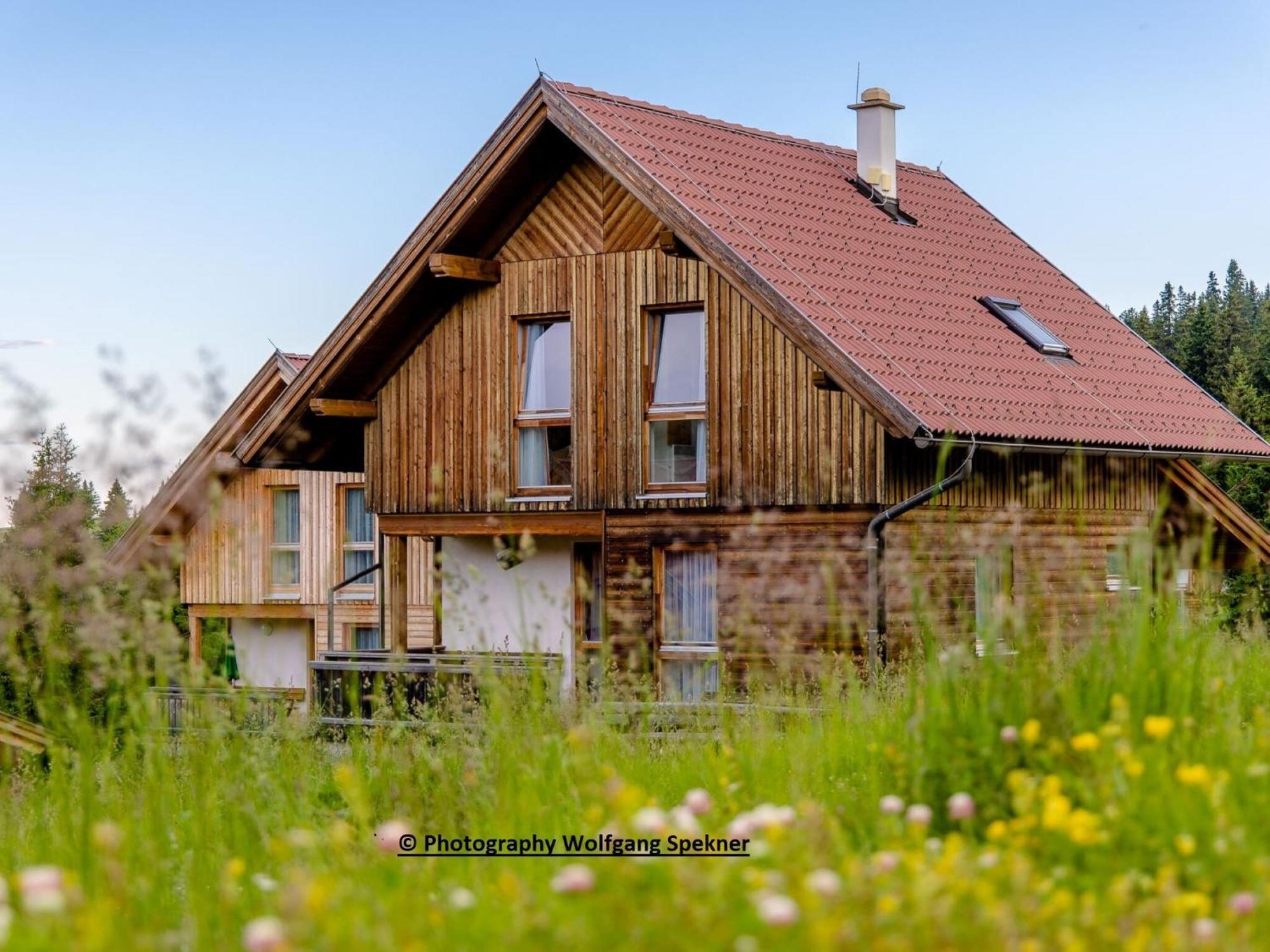 Beautiful Holiday Home In Weinebene With Sauna Posch Alpe Buitenkant foto