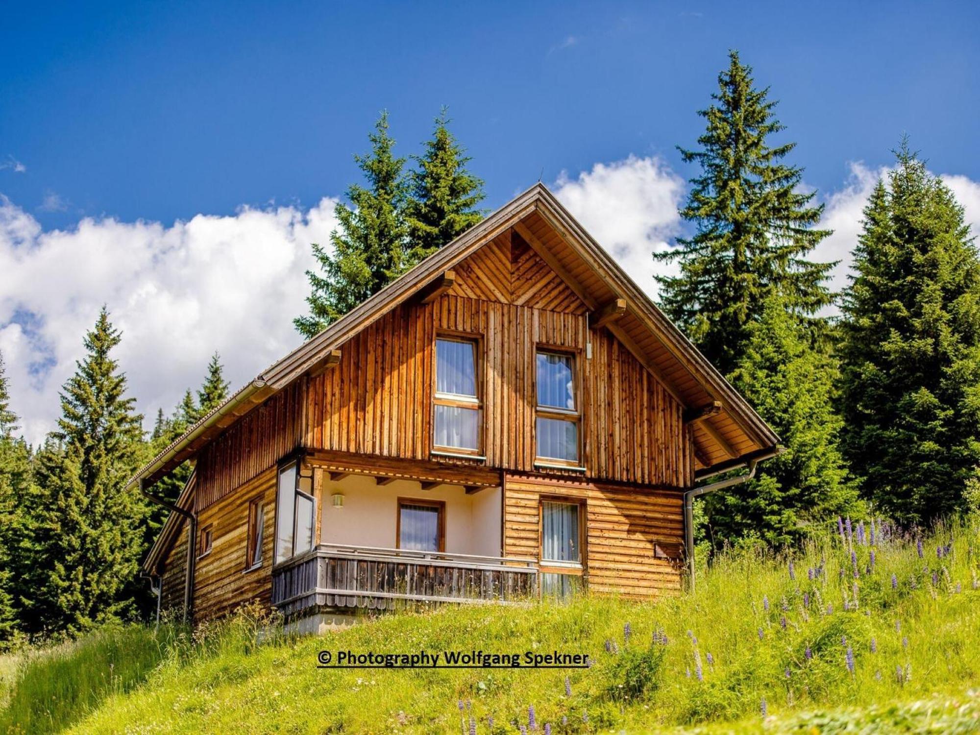 Beautiful Holiday Home In Weinebene With Sauna Posch Alpe Buitenkant foto