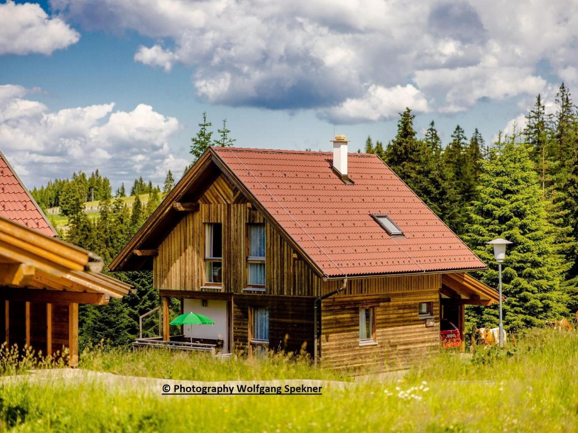 Beautiful Holiday Home In Weinebene With Sauna Posch Alpe Buitenkant foto