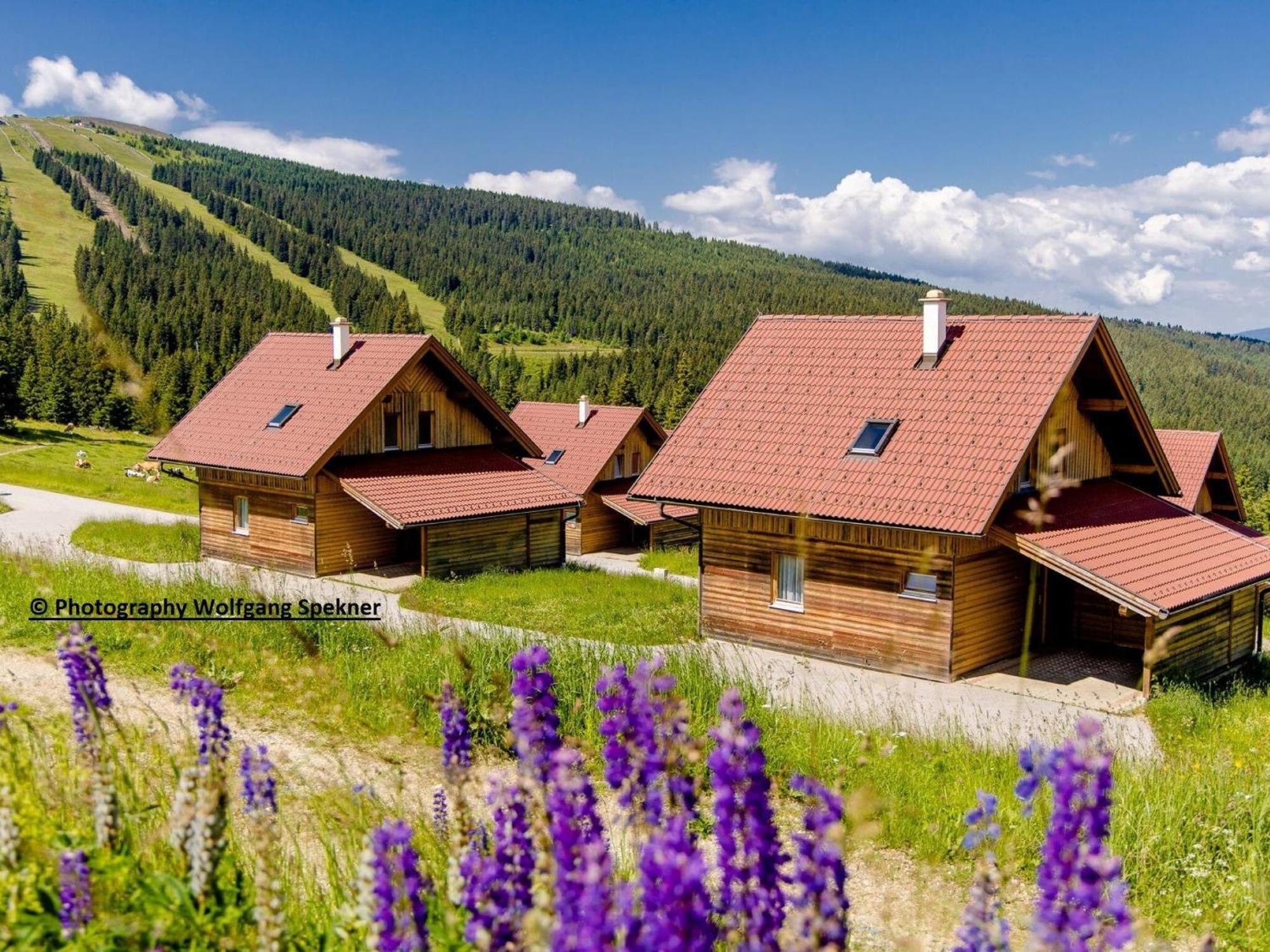 Beautiful Holiday Home In Weinebene With Sauna Posch Alpe Buitenkant foto