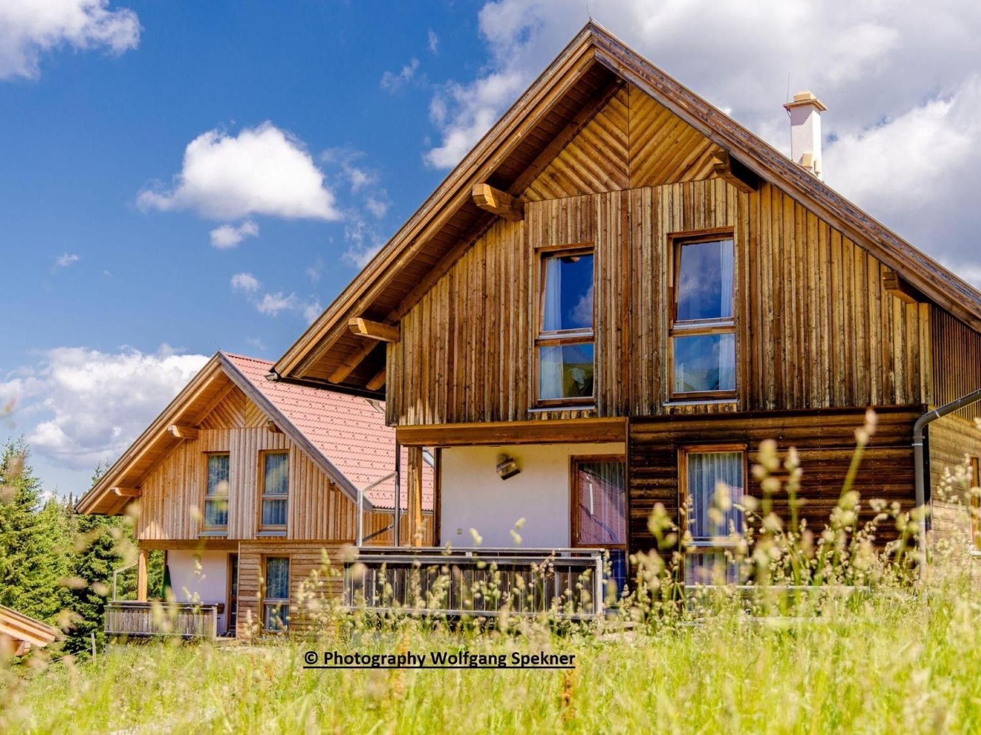 Beautiful Holiday Home In Weinebene With Sauna Posch Alpe Buitenkant foto