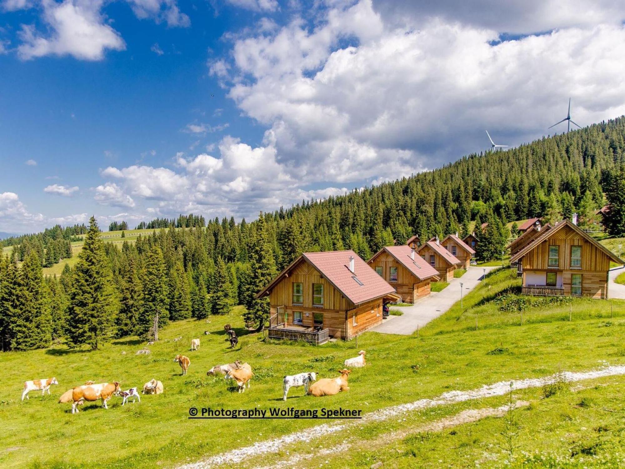 Beautiful Holiday Home In Weinebene With Sauna Posch Alpe Buitenkant foto