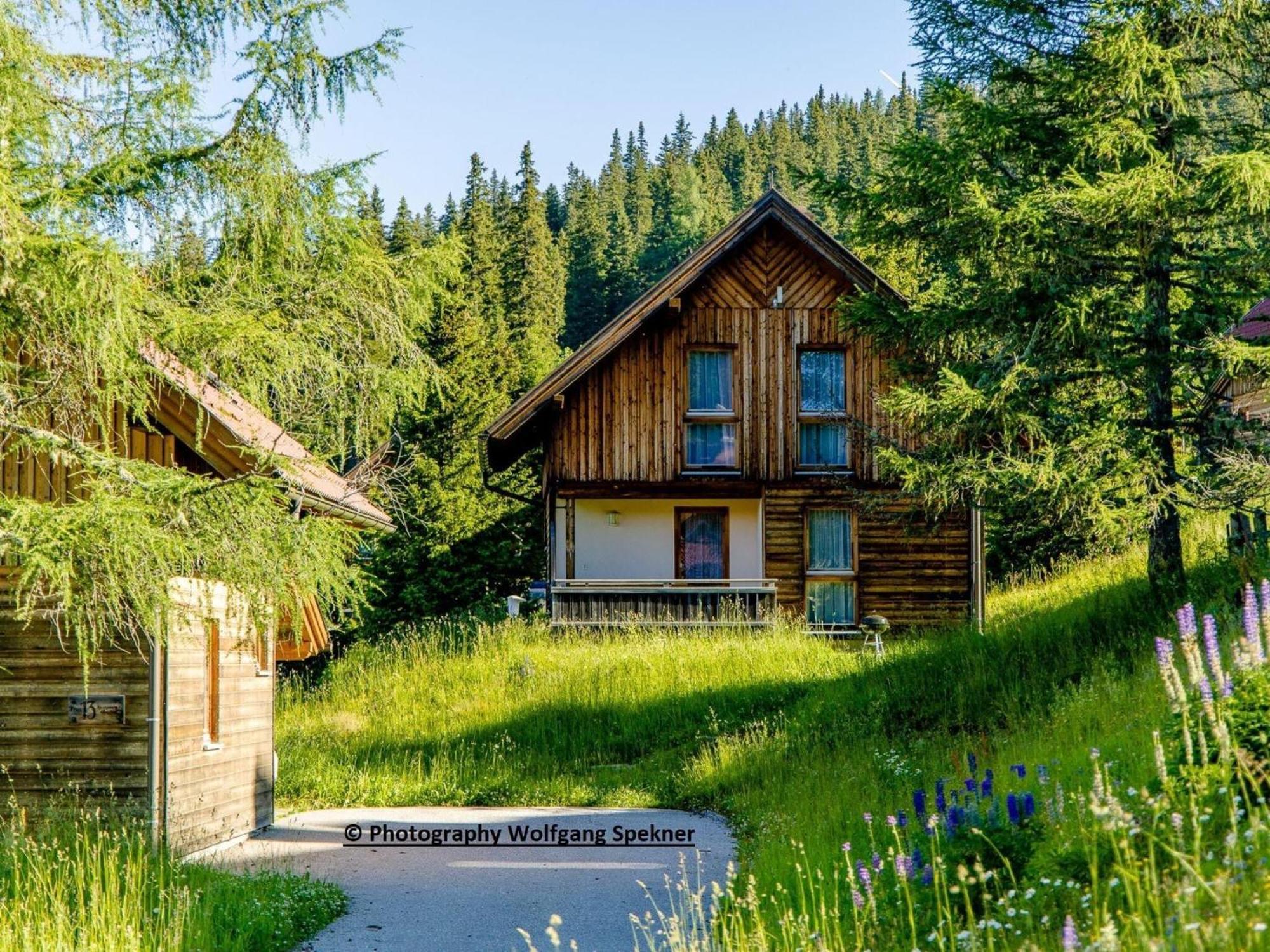 Beautiful Holiday Home In Weinebene With Sauna Posch Alpe Buitenkant foto